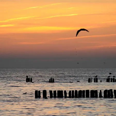 Kacper 4* Władysławowo